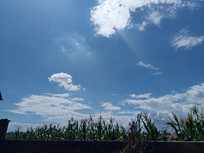 �����ϵ����