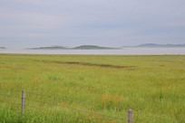 ��ԭ�����ƺ�