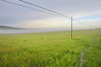 ��ԭ�����ƺ�ãã