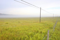 ��ԭ�����ƺ�ãã