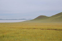 ��ԭ�����ƺ�����