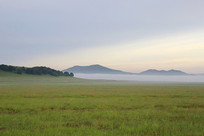 ��ԭ�����ƺ�����