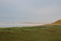 ��ԭ�������ƺ�