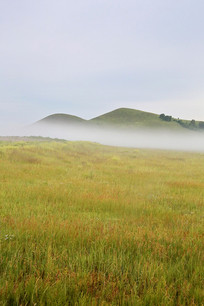 ��ԭ�ϳ�������