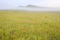 ��ԭ�ϵĳ�������