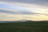 ��ԭ�ϵ��ճ�����