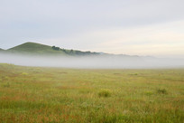 ��ԭ�ϵ��ƺ�����