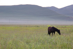 ��ԭ�������