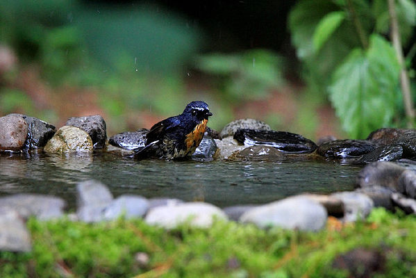 ���ȵ����������l