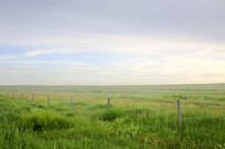 �����ԭ�ޱ�����