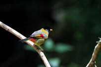 ������������˼��