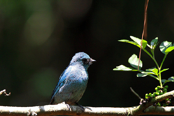 Ư����ͭ���l 