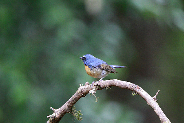 Ư�������������l