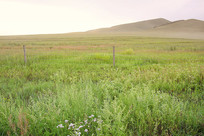 �峿�Ĳ�ԭ��·����