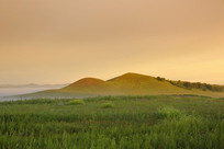 ������ͳ������־