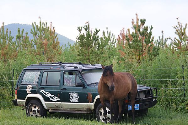 �������Բ�������ƥ