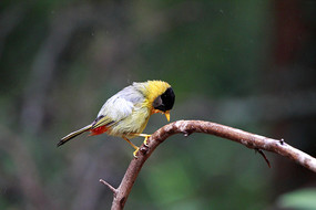 ˼˼ 