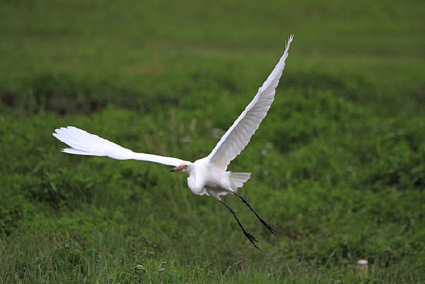 ����չ������