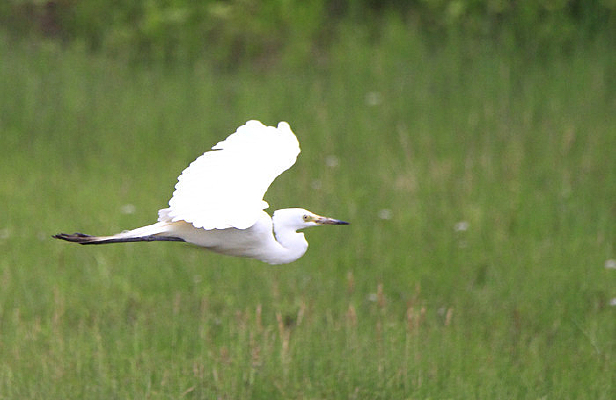 �ͻ����������