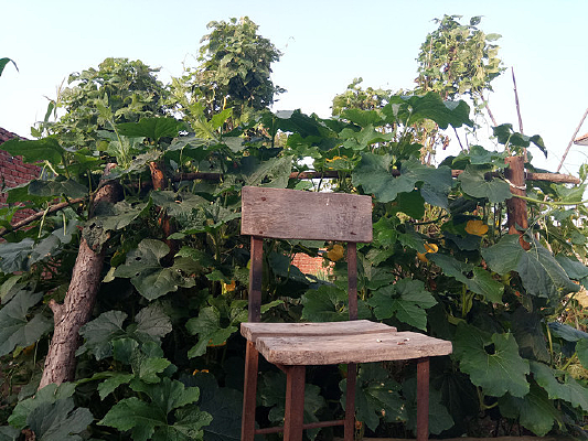 ���ٺ�����