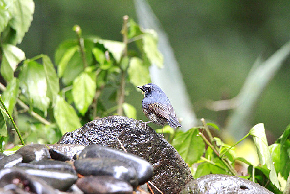 ���ε����������l