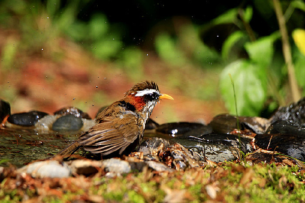 ������ؾ�������