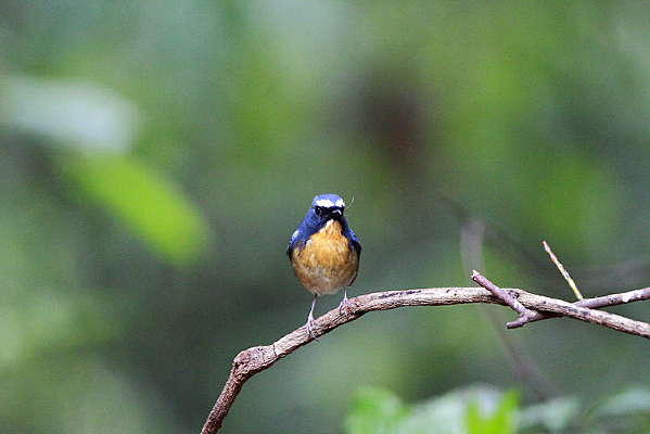 ���������������l