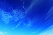 �������翵��Ʋ� 