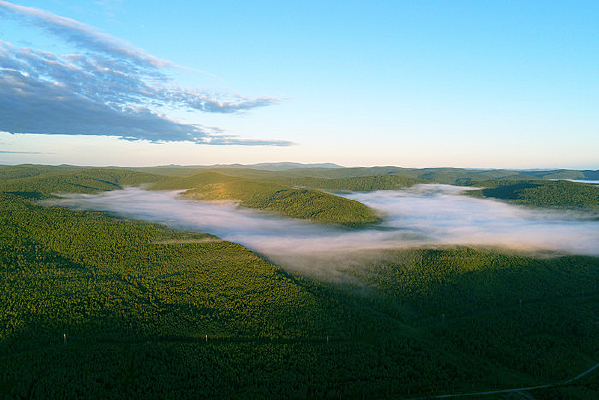 ���˰���ɭ������ 