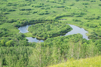 ����ʪ�����㵺