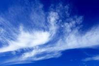 ������ƾ��� 