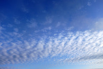 �����Ʋ�