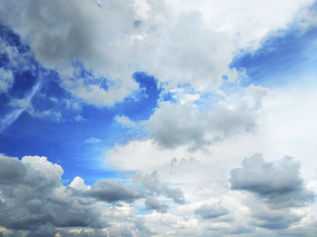 �����ƺ�