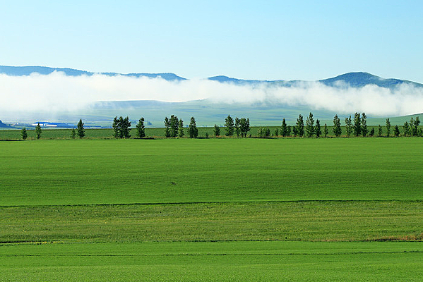 ��ɫԭҰ��������