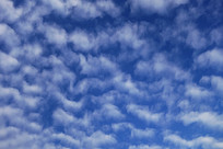 ��ն�����