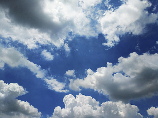 �ƺ�����