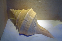 �Ĵ����Ǵ����� 