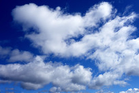 ������ƾ��� 