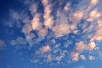 ������Ʒ羰