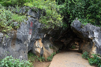 ������궴