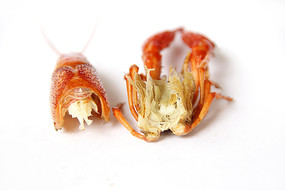 ��дС��Ϻ��