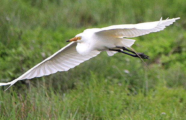 ҹ��Ͷ�ֵ���� 