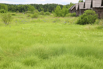 �ݵ��Ե�Сľ��