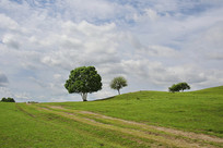 ��ԭ���³��޵�ӡ��