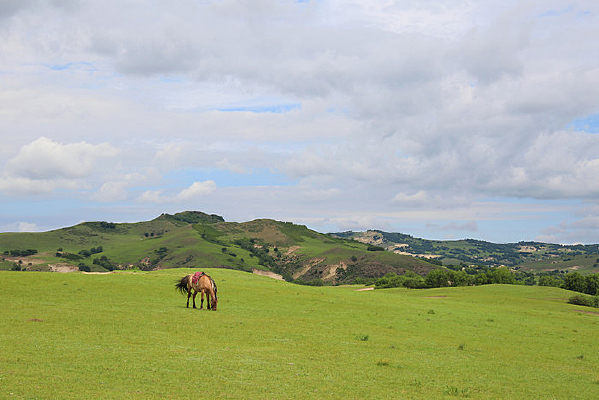 ��ԭ�����ϵ��ɹ���