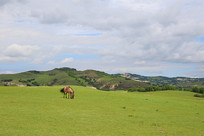 ��ԭ�����ϵ��ɹ���