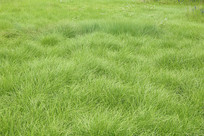 �紵�̲ݵ�����ӿ��