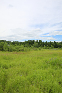 ���Ǻ��ݳ��ݵ�