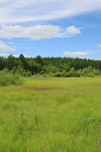 ���Ǻ��ݵ�ʪ��