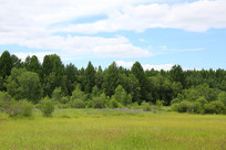 ���Ǻ�ʪ�ع�԰